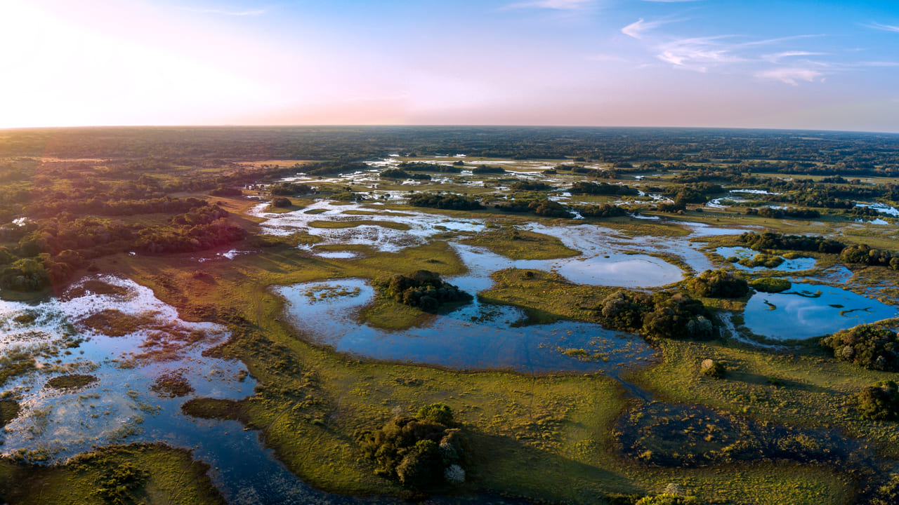 WWF Alerta De Amenazas Sobre El Pantanal El Mayor Humedal Del Planeta