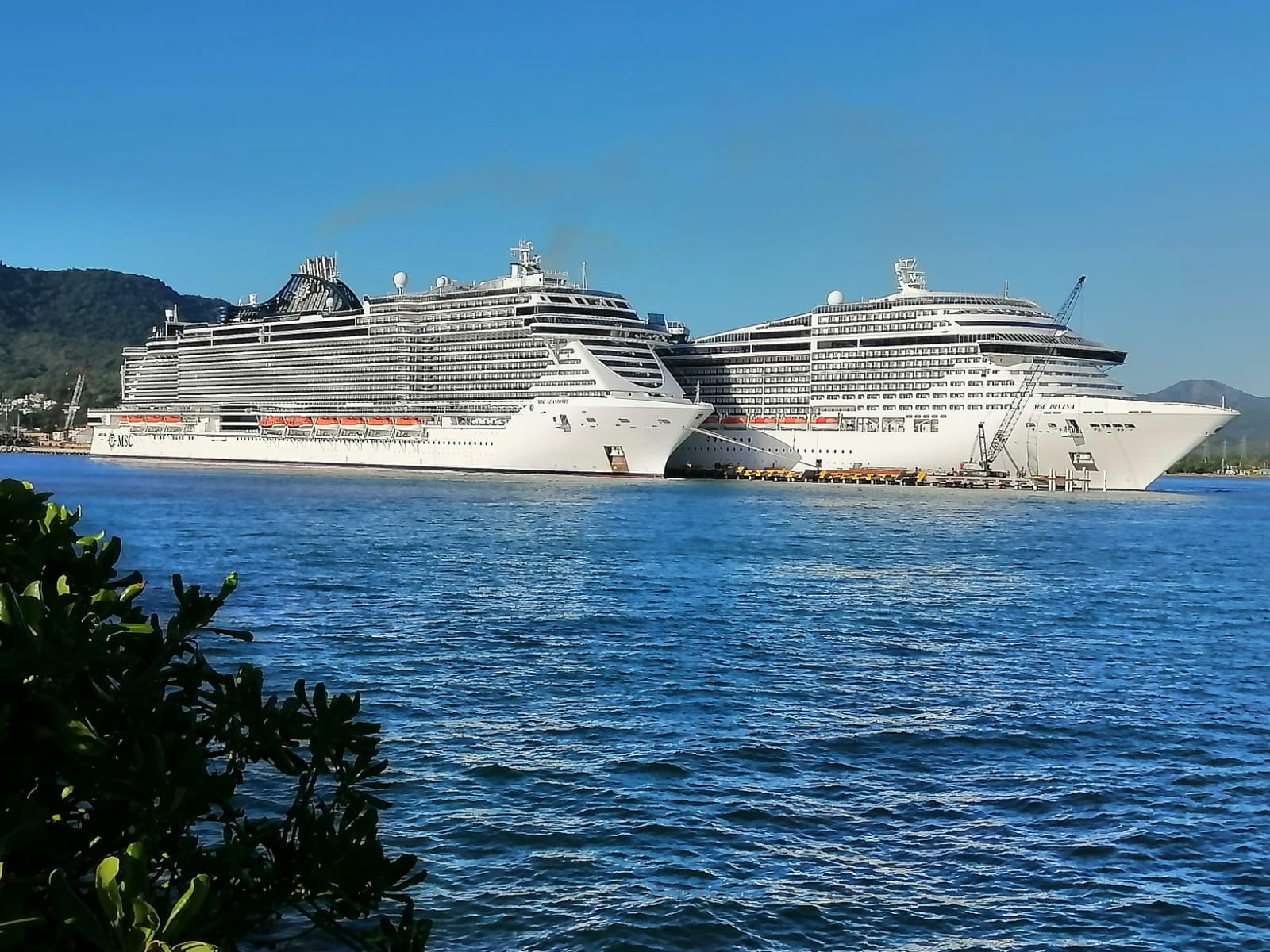 Terminal De Cruceros Ta No Bay Cumple Su Primer A O De Operaci N En