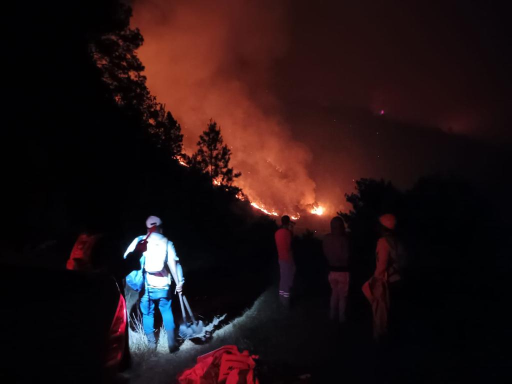 VIDEO Medio Ambiente Trabaja Para Controlar Incendio Forestal En