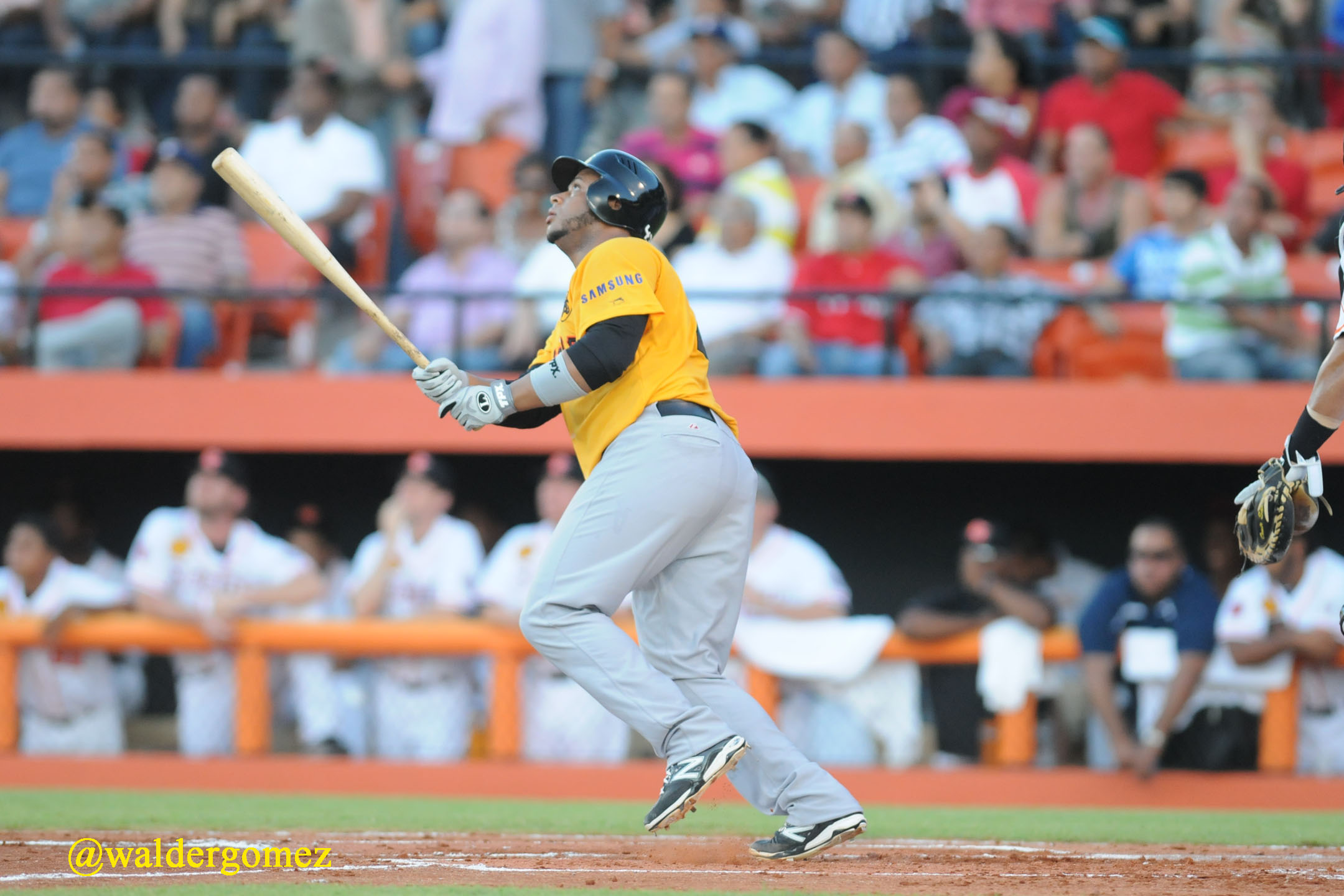 Águilas vencen Gigantes y se ponen a un juego del primer lugar del torneo  invernal