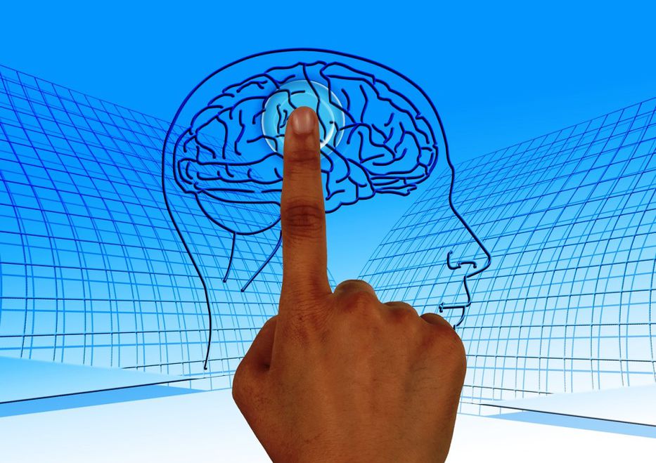 El hispano es más propenso a enfermedades cerebrovasculares, según estudio 1 estudio