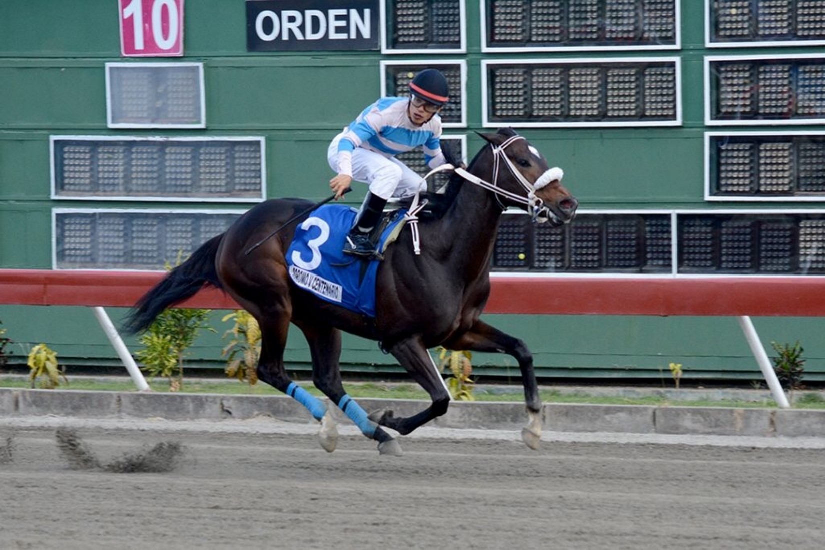 Corren este sábado Clásico día del Trabajo en el Hipódromo V Centenario