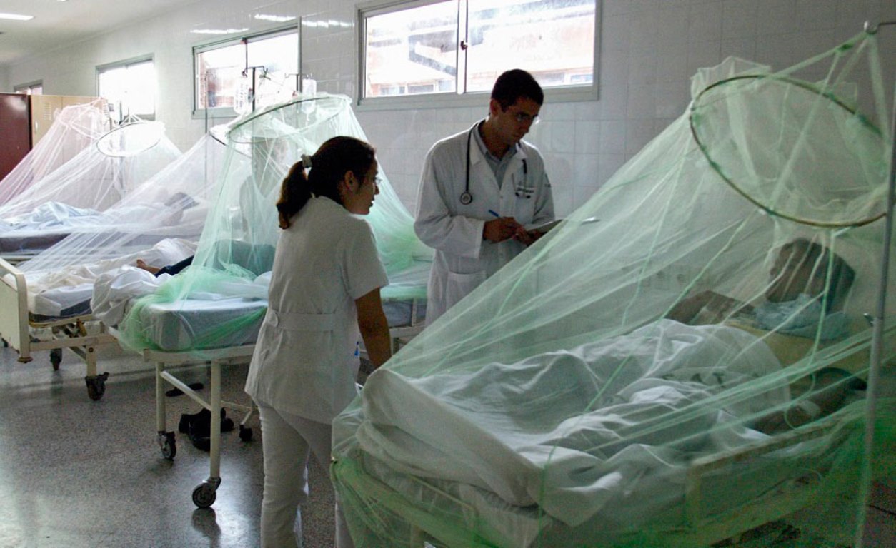 Aumenta a 89 cifra de muertos por dengue hemorrágico en Honduras 1 Aumenta a 89 cifra de muertos por dengue hemorragico en Honduras