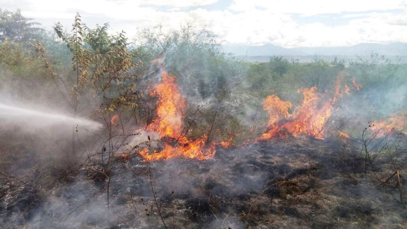 Alertan que Colombia está bajo la amenaza de múltiples incendios forestales