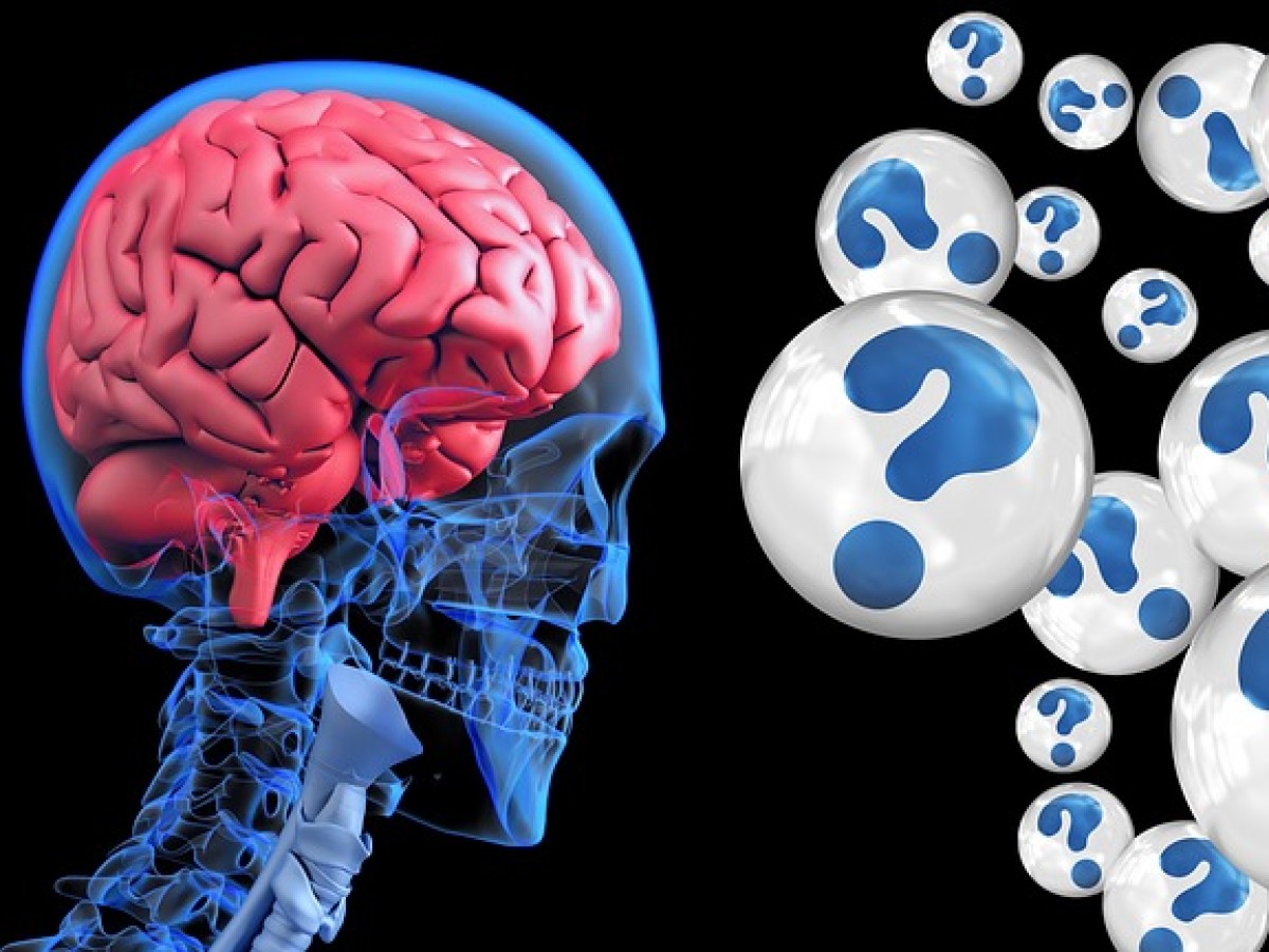Científicos estudiarán reacción cerebral a ruidos para prevenir el alzheimer 1 Cientificos estudiaran reaccion cerebral a ruidos para prevenir el alzheimer