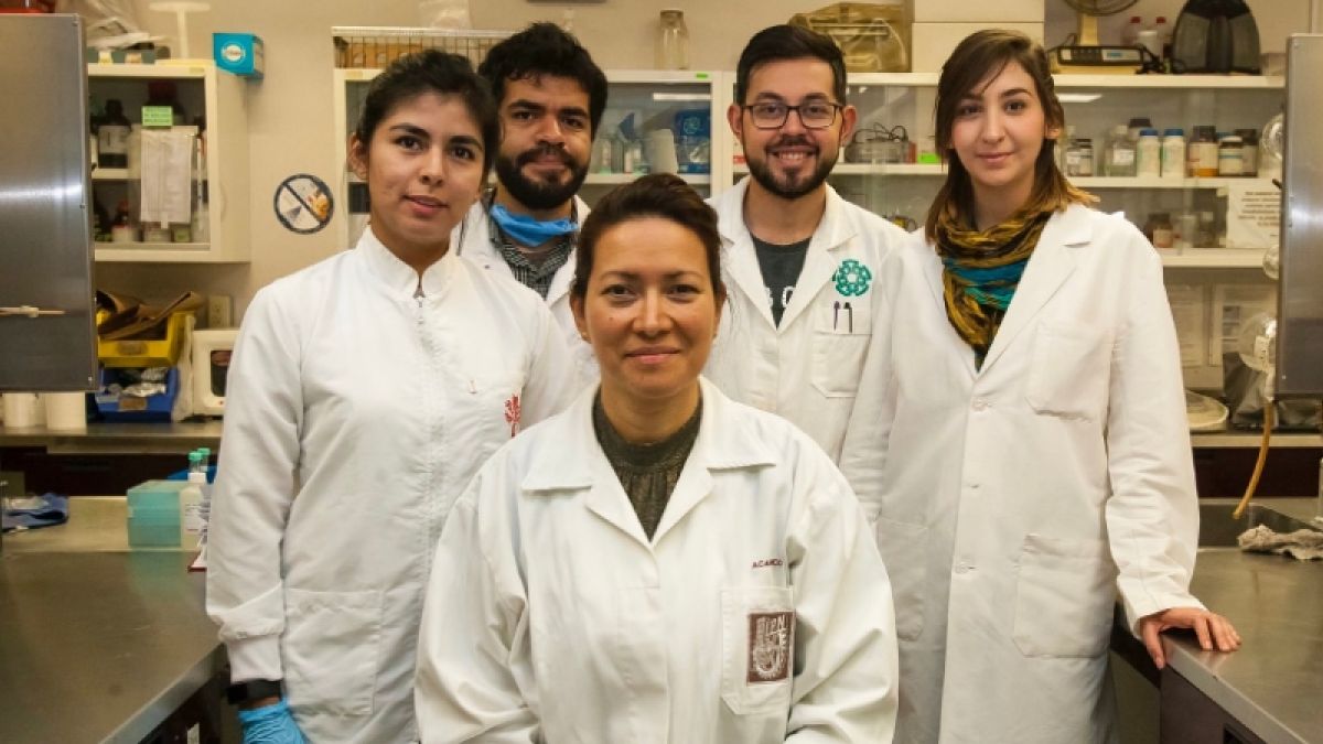 Científica asegura haber conseguido eliminar al 100% el virus del papiloma humano 1 cientificos