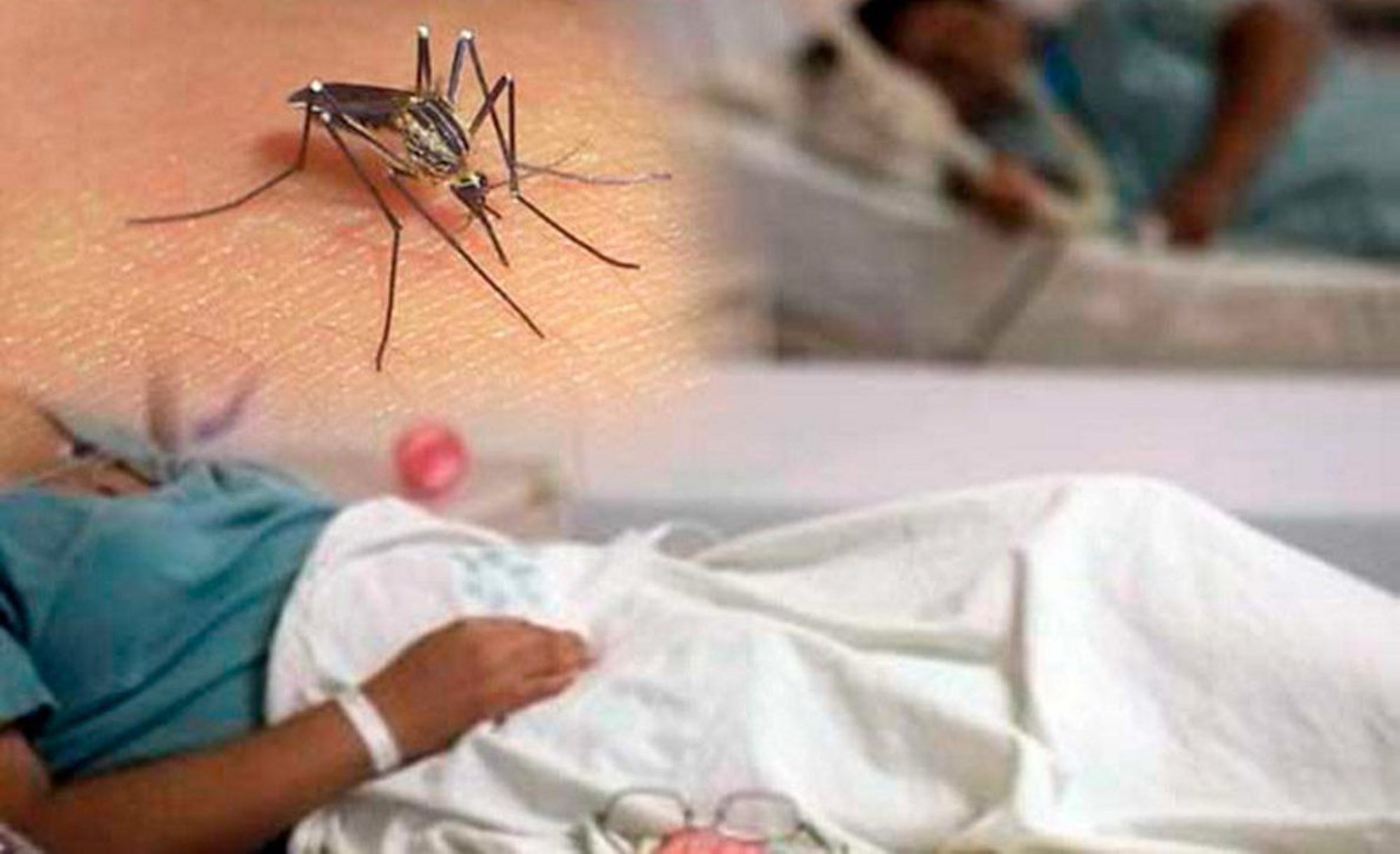 Sube A Cinco La Cifra De Muertes Por Dengue Grave En Honduras En 2020