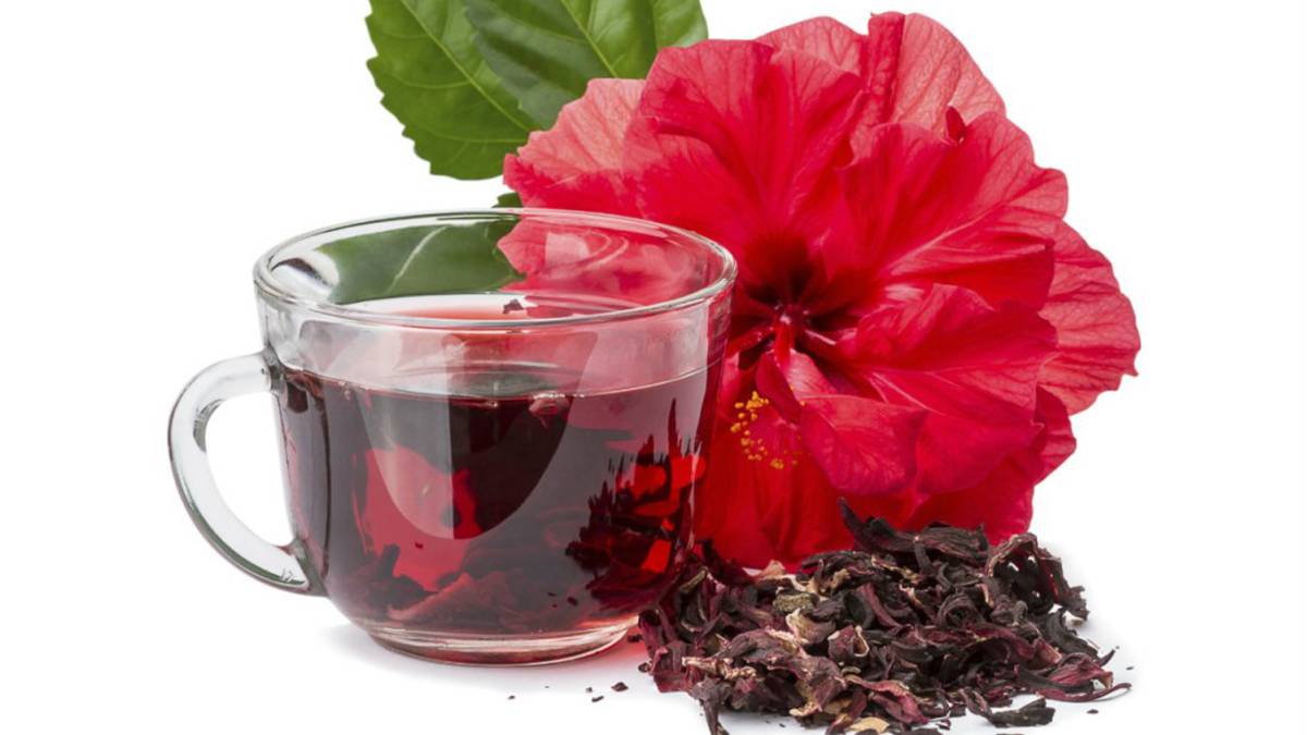 Conoce 8 beneficios de la flor de Jamaica