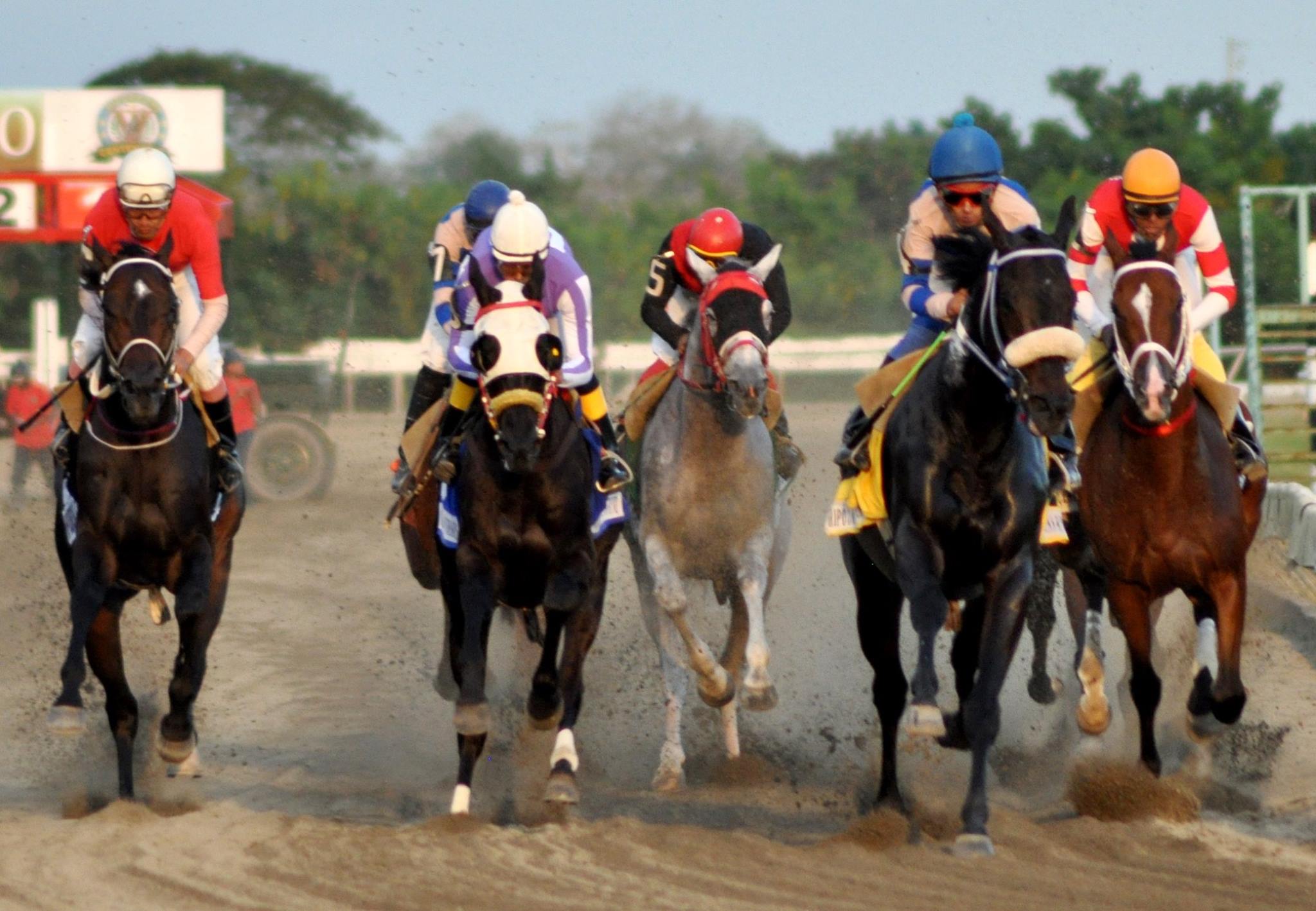Propietarios de caballos piden al Gobierno la reapertura del Hipódromo