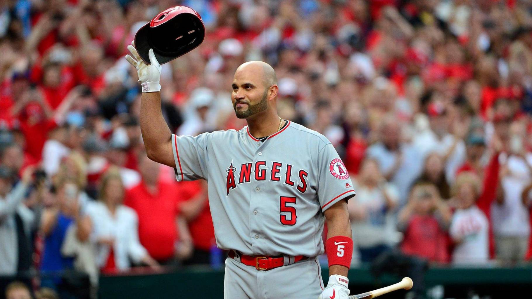 Albert Pujols 5 Republica Dominicana Dominican Baseball -  Israel