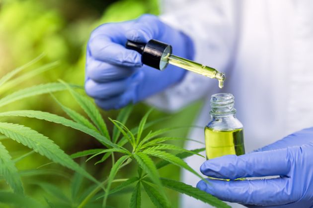 La Onu Reconoce Oficialmente Las Propiedades Medicinales Del Cannabis 2555