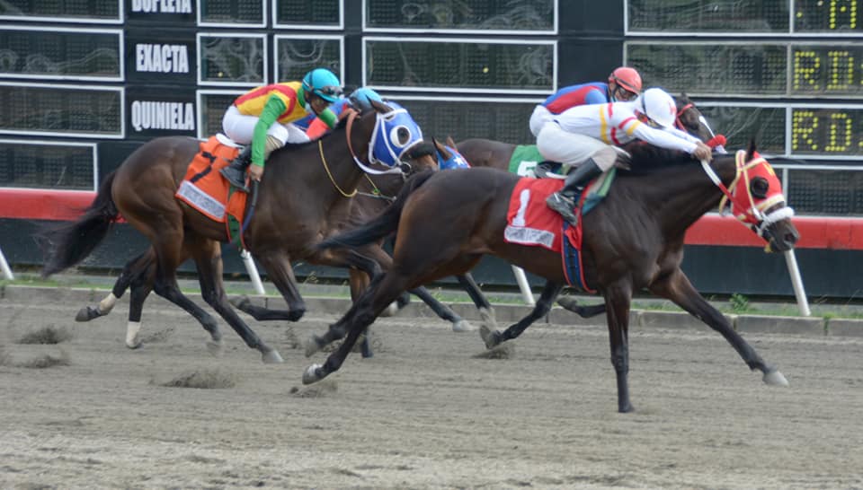 RD For Wells gana Clásico por día de Duarte en Hipódromo V Centenario