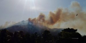 El Parque Nacional Alejandro de Humboldt posee la mayor diversidad vegetal del archipiélago cubano y el Caribe insular.
