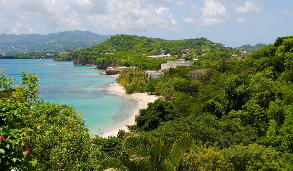 "Esto significa que nadie con un historial de viajes previo de 14 días desde India o Brasil podrá entrar en Granada", dijo en declaraciones a medios locales el ministro de Salud, Nickolas Steele.