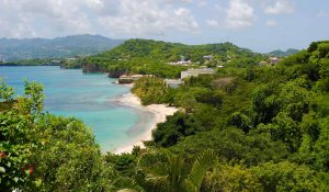 "Esto significa que nadie con un historial de viajes previo de 14 días desde India o Brasil podrá entrar en Granada", dijo en declaraciones a medios locales el ministro de Salud, Nickolas Steele.