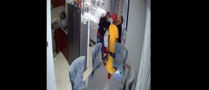 Imagen ilustrativa. (Fuente externa)