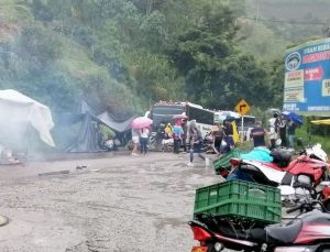 "Estimamos que el costo económico del paro nacional en el mes de mayo oscila entre 4,8 y 6,1 billones de pesos. Sin embargo, una prolongación de los bloqueos implicaría un costo económico superior al estimado", consideró el presidente de Fedesarrollo, Luis Fernando Mejía. (Fuente externa)
