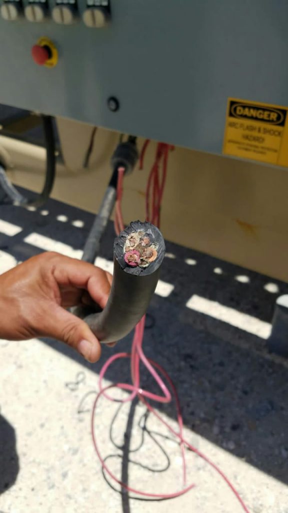 Desconocidos roban cableado eléctrico muelle de Barahona: operaciones siguen paralizadas