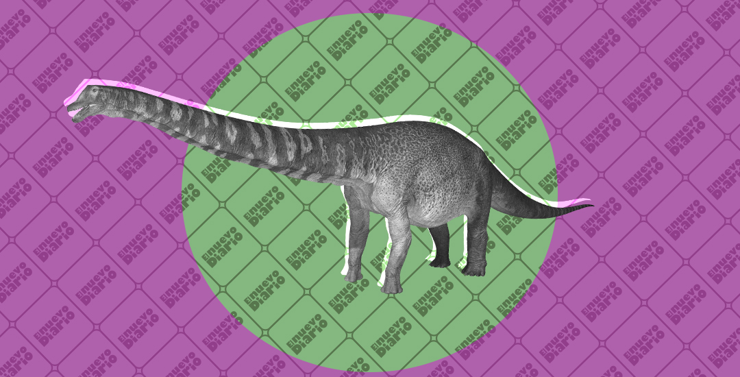 Descubren restos del dinosaurio más grande de Australia y uno de los de  mayor tamaño del mundo