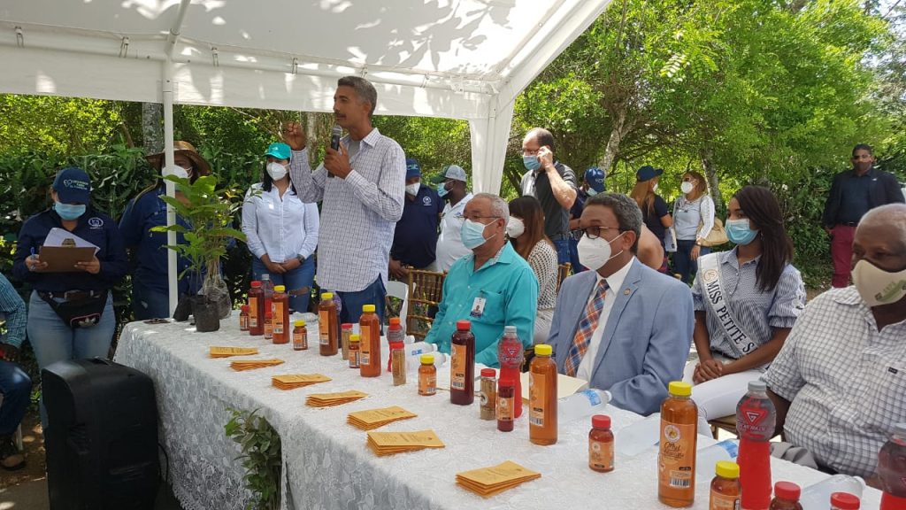 Lanzan programa de reforestación con plantas melíferas en la región Este