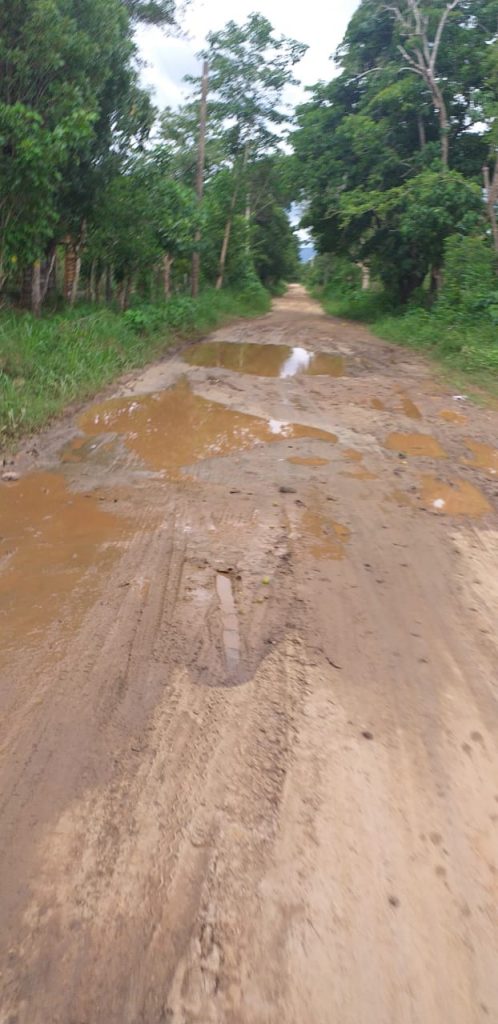 Producción de Mango se pierde por destrucción de carretera en Dajabón