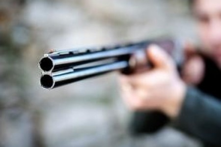 Arma de Fuego, Fuente Externa