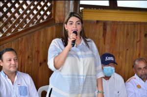 Diputada Verónica Contreras. (Fuente externa)