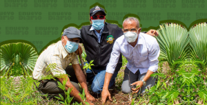 Ilustración: Yasmín Esmeralda Díaz