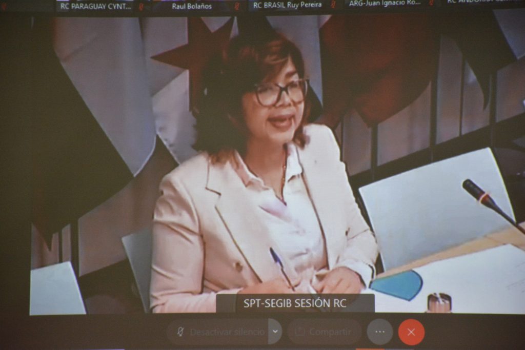 República Dominicana impulsará el multilateralismo como forma eficaz de avanzar en la recuperación post-Covid19