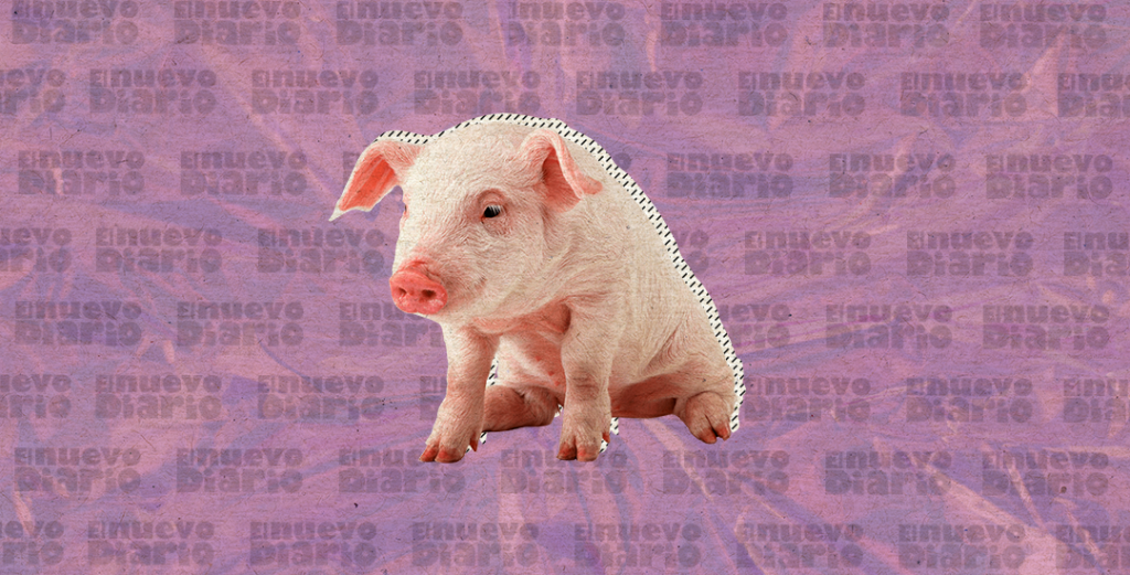 Ilustración: Yasmín Esmeralda Díaz