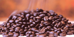 El comportamiento de las exportaciones del café ha tendido a la baja a lo largo del ciclo 2020-2021, siendo junio el único mes en el que se registraron número positivos.