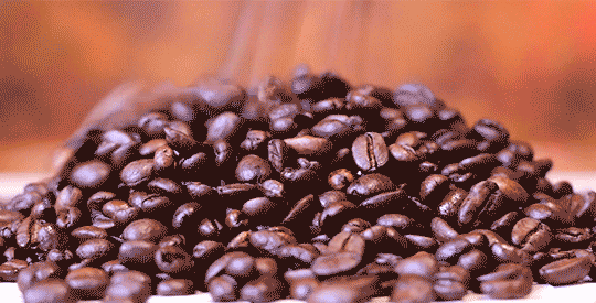 El comportamiento de las exportaciones del café ha tendido a la baja a lo largo del ciclo 2020-2021, siendo junio el único mes en el que se registraron número positivos.