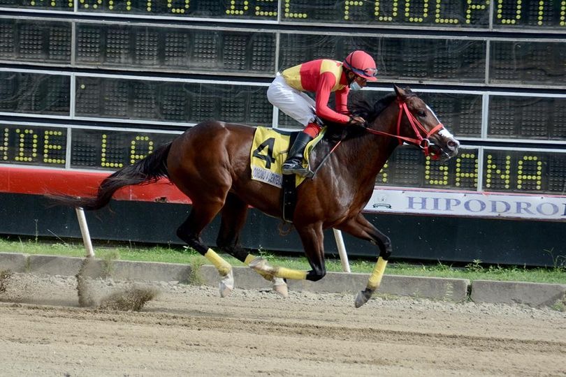 Ingeniero Collado llega segundo en el Clásico Internacional Del Caribe