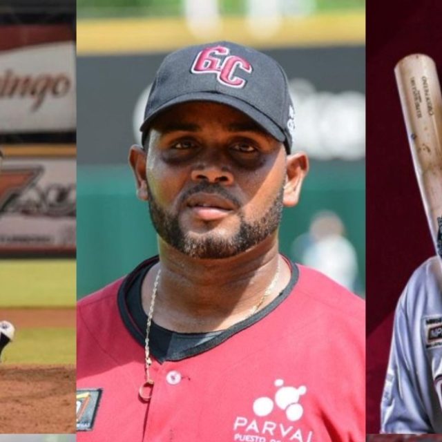 Cinco peloteros de Puerto Plata integran roster Gigantes del Cibao en Serie  Final pelota criolla – El Nuevo Diario (República Dominicana)