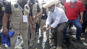 Presidente de Perú anuncia acciones urgentes contra "ecocidio" por derrame
