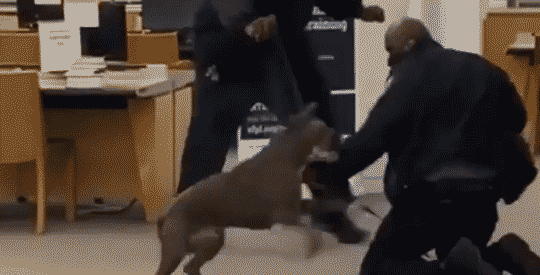 WhatsApp-Video-2022-01-21-at-11.gif