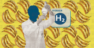 Científicos suizos logran obtener hidrógeno a partir de cáscaras de plátano