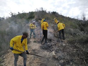 Bomberos forestales lograron extinguir incendio provocado por tendido eléctrico en Monte Cristi  