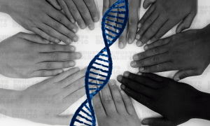 El 3,2 % del genoma sirve para la pigmentación. Son los genes de colores
