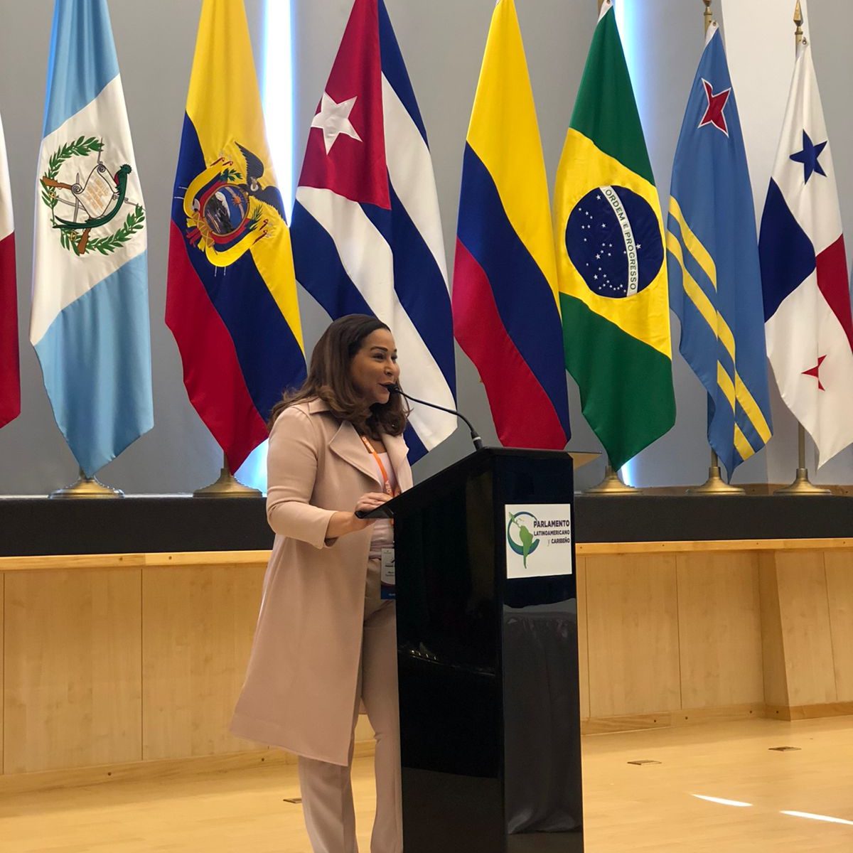 Ministra de la Mujer inaugura Asamblea de Delegadas en Panamá