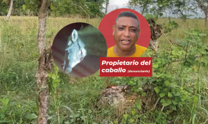 (VIDEO) Hombre mata de tres disparos a caballo que le comió un poco de arroz en Villa Riva