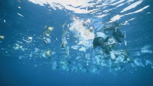 Unesco reconoce que falta de información complica la protección de los mares