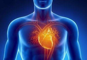 La miocardiopatía no es una enfermedad uniforme