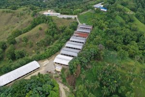 Medio Ambiente impone multa de 5 millones de pesos a una granja porcina en Jamao al Norte