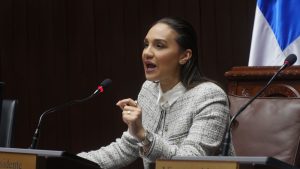 Diputada denuncia sectores de María Trinidad Sánchez tienen nueve días sin energía eléctrica