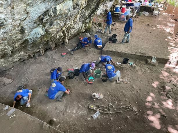Excavación arqueológica