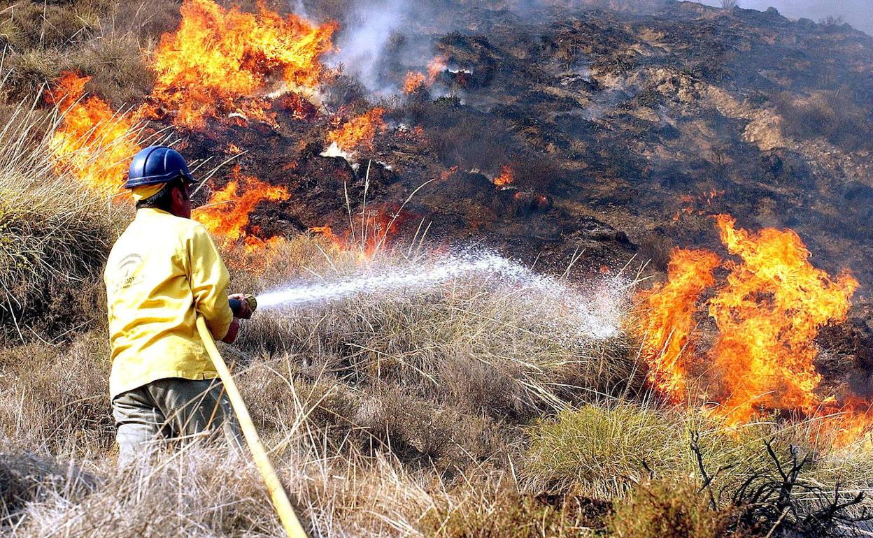 Incendios forestales en el sur de Perú han destruido 2.110 hectáreas de