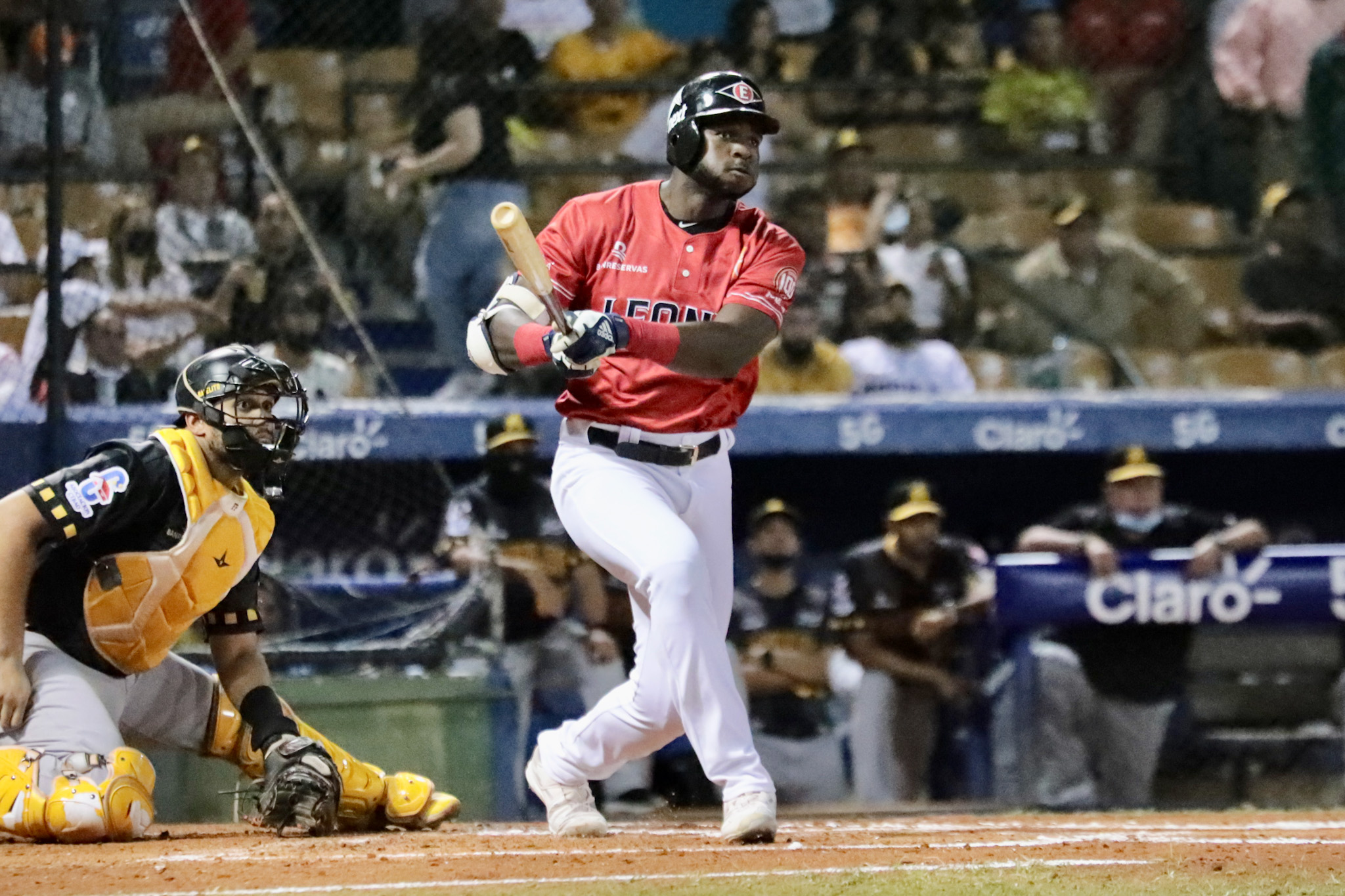 Estevan Florial will return as a reinforcement for the Lions Archyworldys