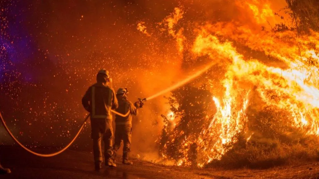 Los incendios le cuestan al mundo 50.000 millones de dólares cada año