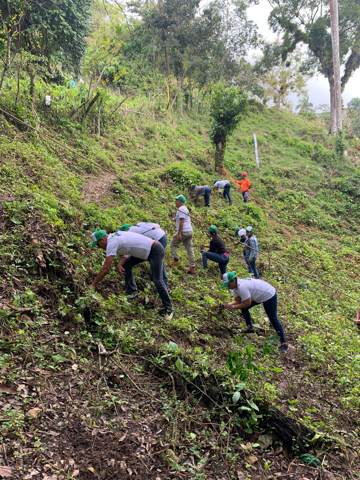 Infotep y Medio Ambiente siembran 2,500 árboles en cuenca del río Cenoví